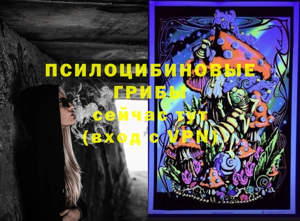 дживик Алексеевка