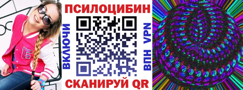 Псилоцибиновые грибы Cubensis  Тверь 